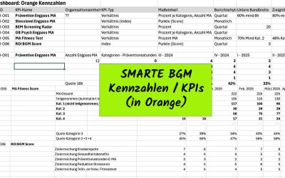 Smarte BGM KPIs